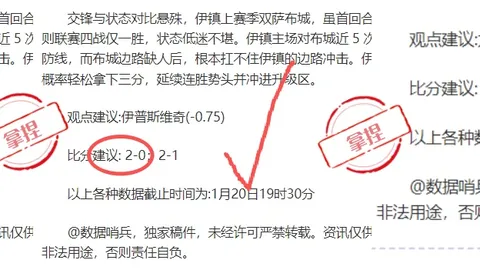 辛纳澳网击败鲁内，成功挺进复赛轮