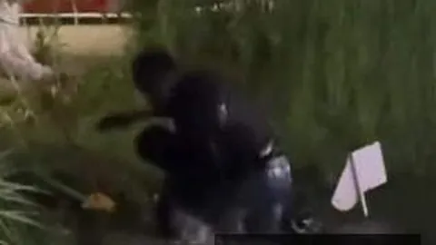 电竞战队新成，开云体育app下载，员加盟，目标直指冠军
